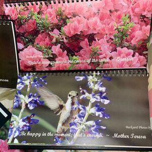 Nature Photos and Inspirational Quote Calendars 2015 - 2020 spiral bound & wood